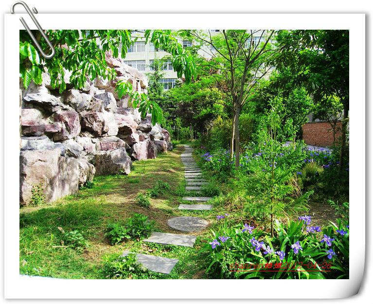 甘洛中學(xué)地址在哪里？