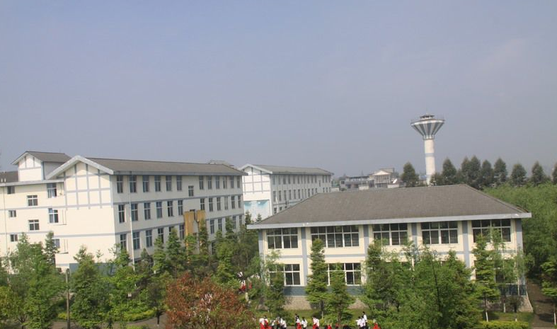 成都樹德懷遠中學2019年特長生計劃
