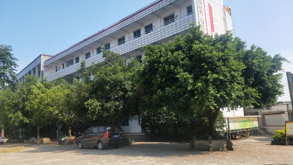 隆昌八中在哪里？