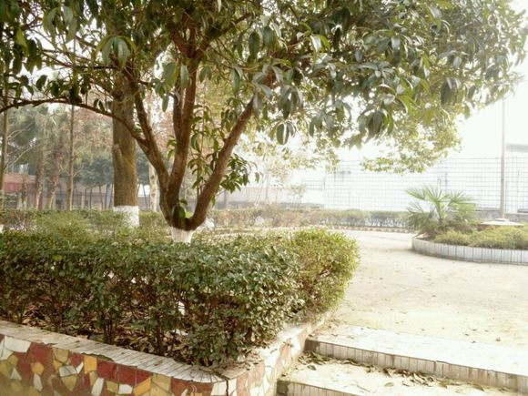 隆昌六中現在有沒有高中?。?/></span></p><p id=