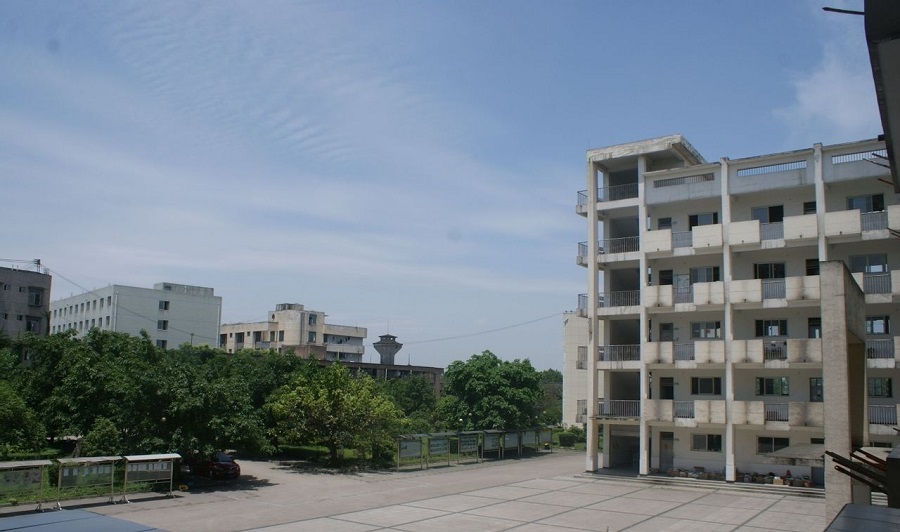 高埂中學校園環(huán)境怎么樣？