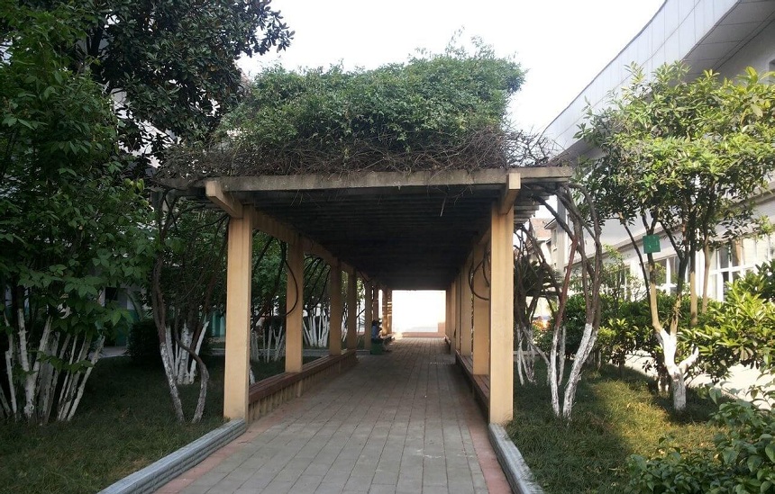 通錦中學(xué)環(huán)境怎么樣？