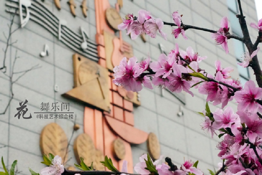 石室天府中學(xué)環(huán)境好不好、怎么樣？