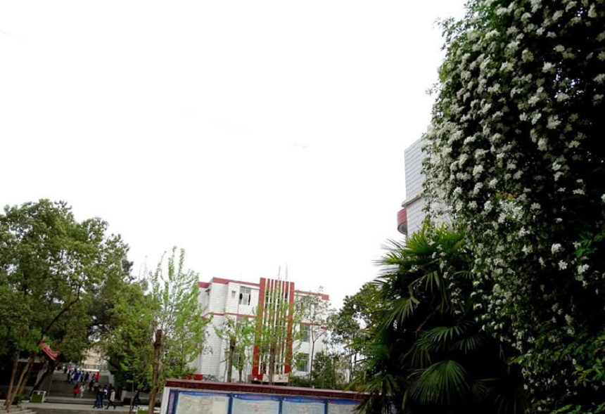 中江實驗中學2020年中考分數(shù)線是多少？
