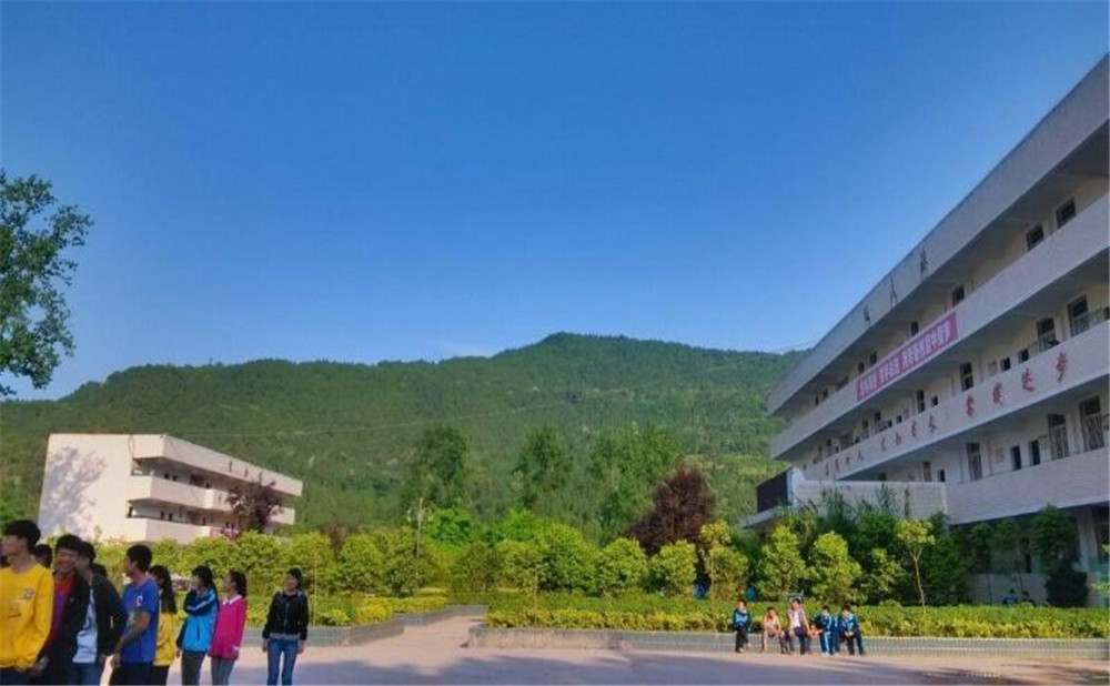 金山中學(xué)2020年學(xué)校招生計劃在哪兒看？
