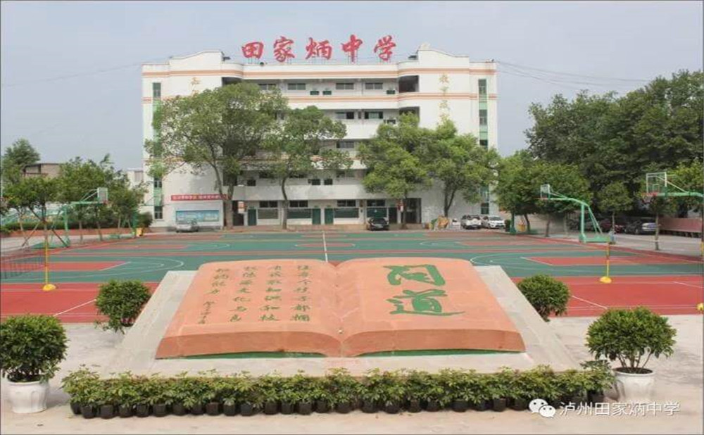 瀘洲市田家炳中學是公辦學校嗎？