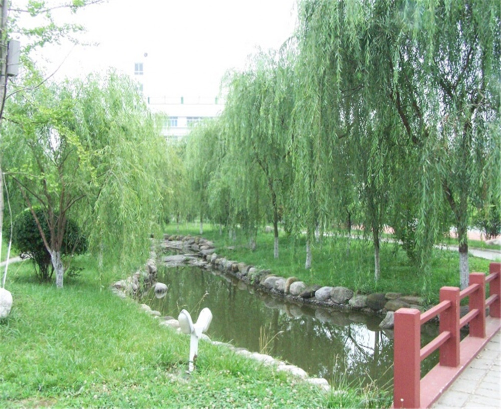 廣元外國語2020年學(xué)校招生分?jǐn)?shù)公布了嗎？