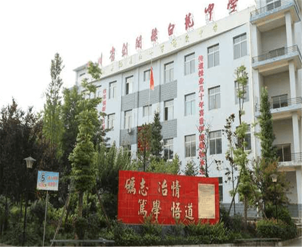 白龍中學(xué)2020年招生計劃公布了嗎？