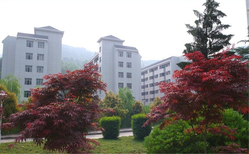 巴中中學(xué)學(xué)校詳細(xì)地址在什么地方？