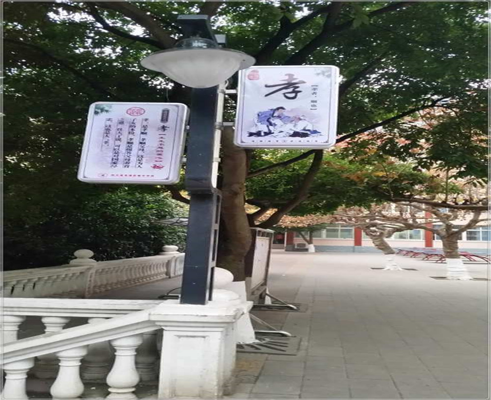 蒼溪實驗中學2020年的招生簡章發(fā)布了嗎？