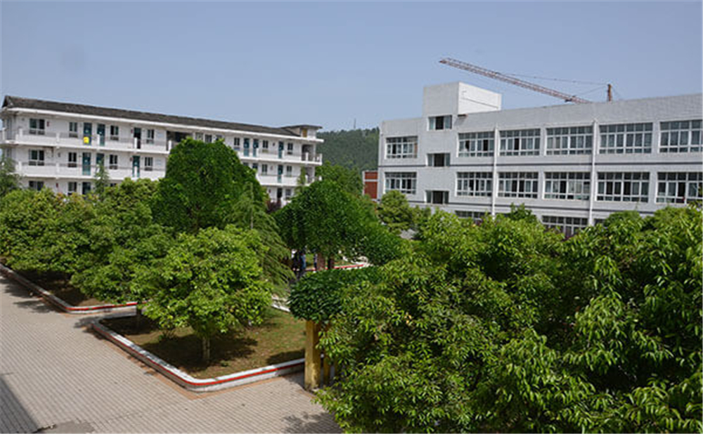 曾口中學2020年招生計劃公布了嗎？
