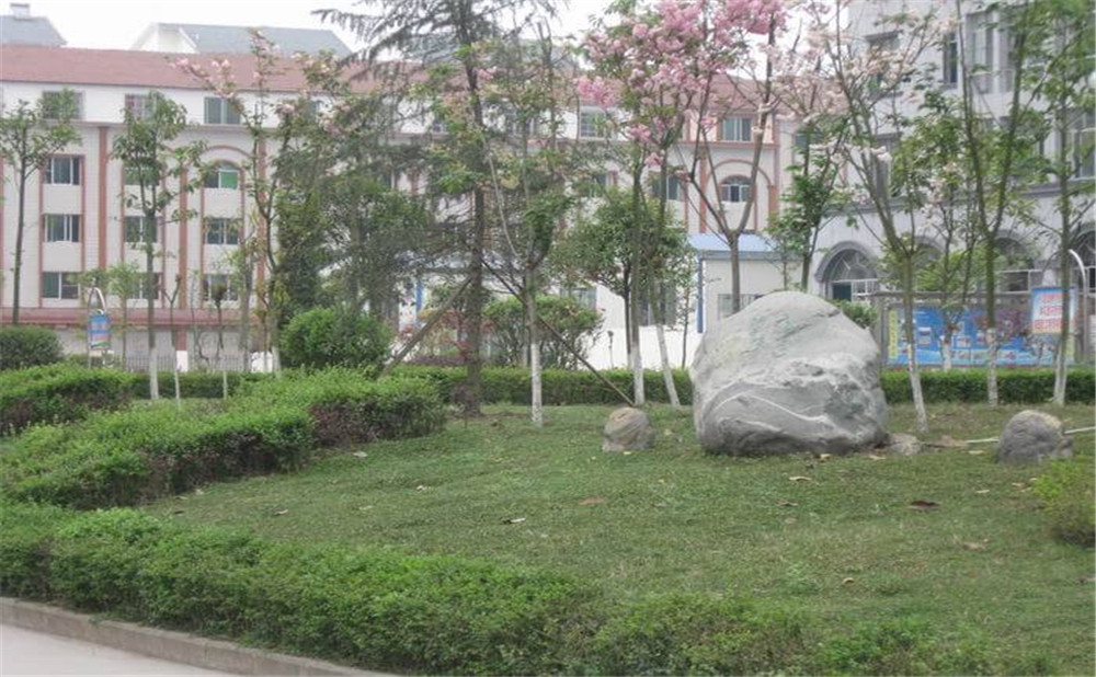 大英縣育才中學2020年的收費標準是多少？