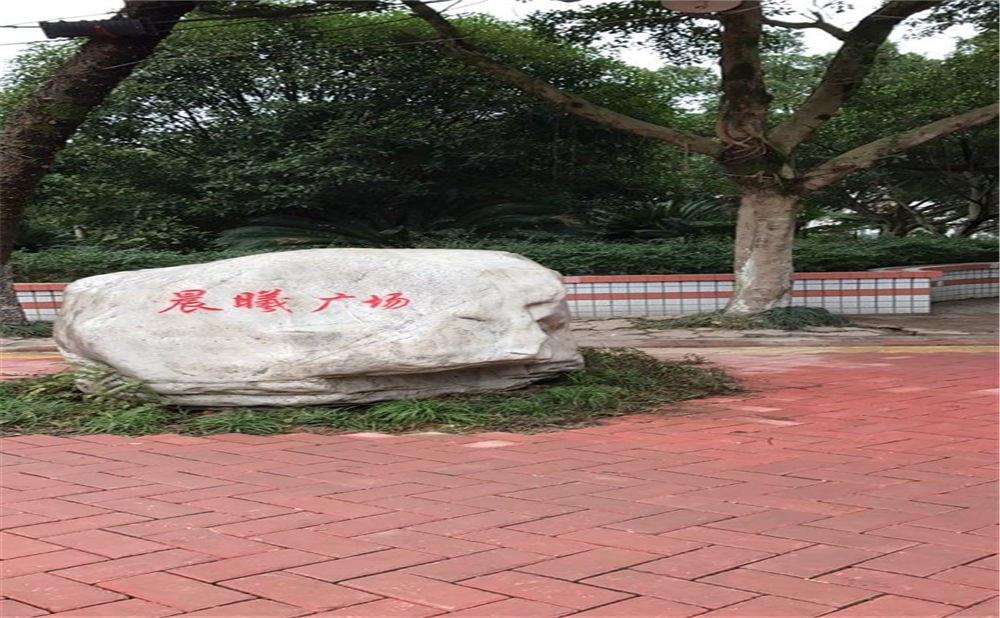 內(nèi)江十二中2020年中考錄取分數(shù)線多少分？