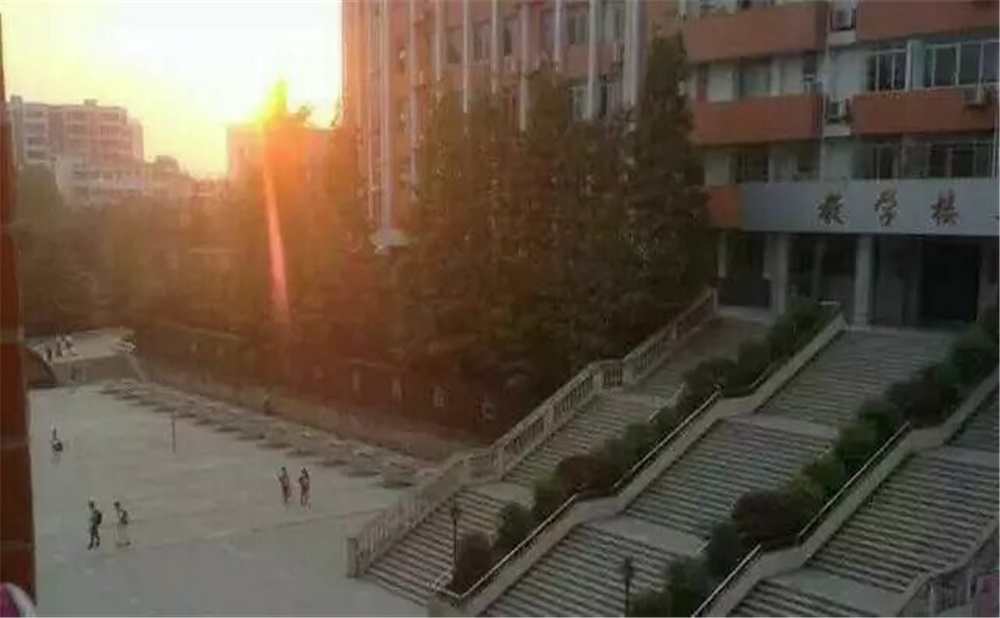 南充十一中學(xué)校招辦電話是多少？