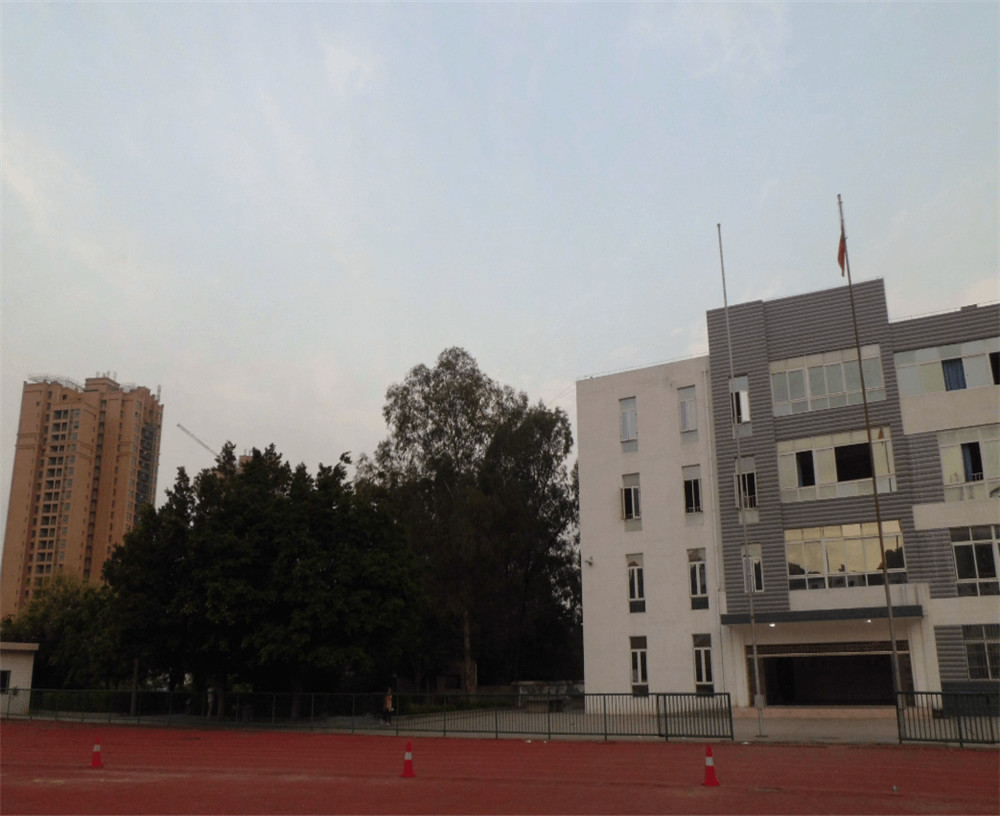 四川省攀枝花市第九中學(xué)校環(huán)境怎么樣？