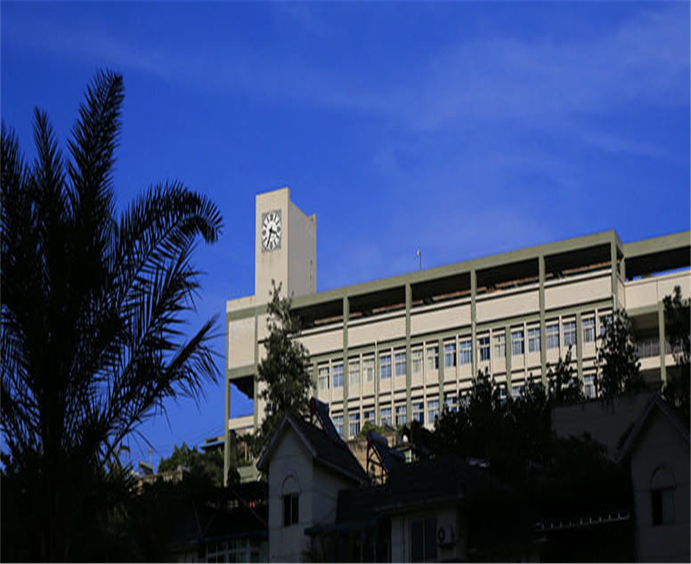 攀枝花市第十五中學(xué)學(xué)校詳細地址在什么地方？