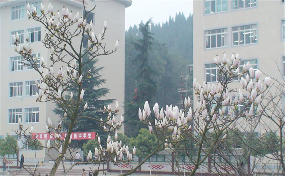 建興中學2020年中考錄取分數(shù)線多少分？