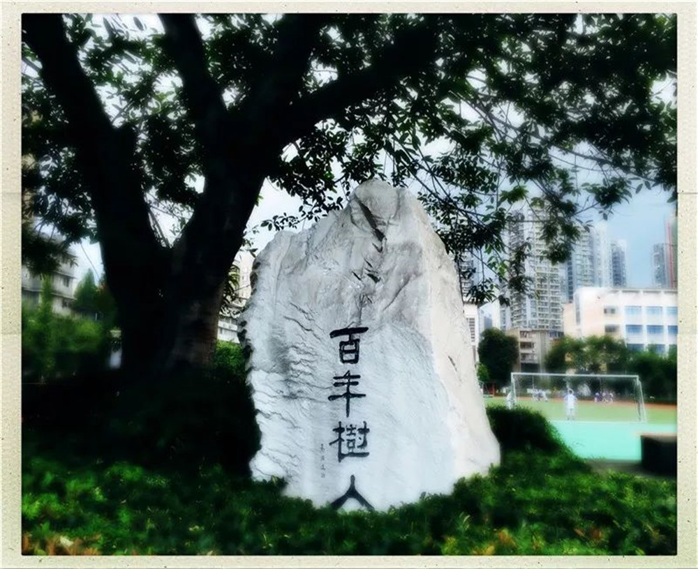 四川大學(xué)附屬中學(xué)2020年的錄取分?jǐn)?shù)線是多少？