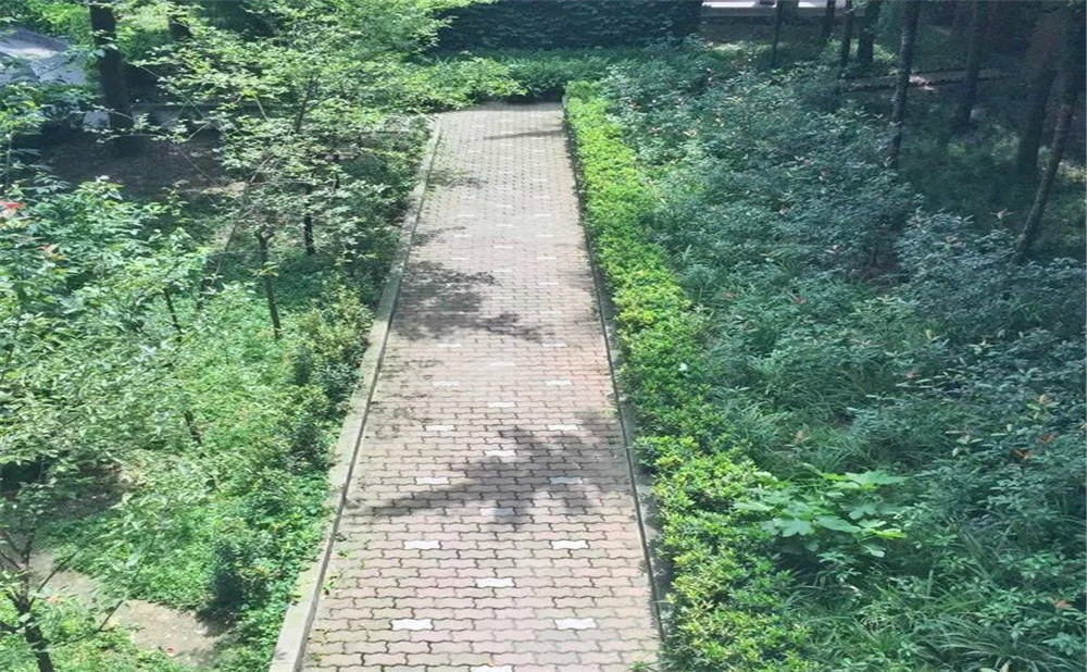 成都華西中學的高中怎么樣？