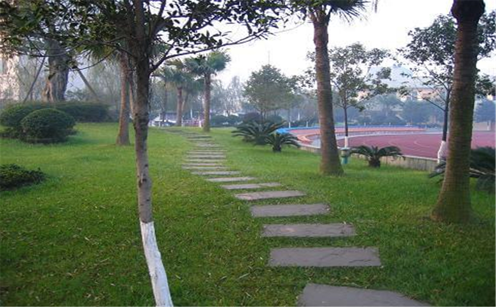 成都石室佳興外國(guó)語(yǔ)學(xué)校外招生一年的學(xué)費(fèi)是多少錢？