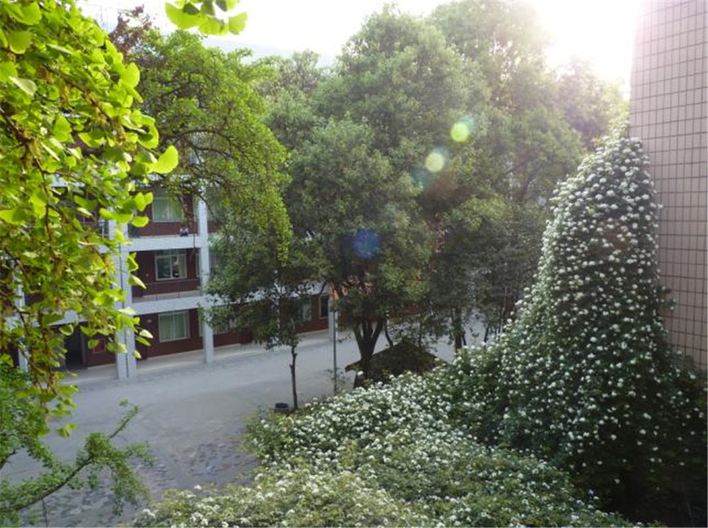 石室聯(lián)合中學(xué)蜀華分校的升學(xué)率是多少？