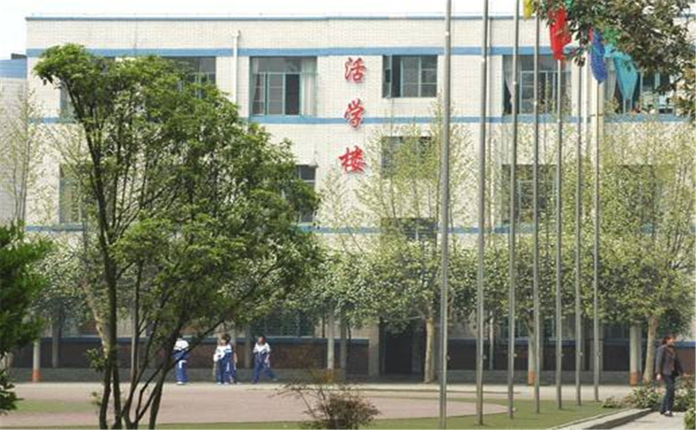 成都成飛中學(xué)2020年招生標(biāo)準(zhǔn)是多少？