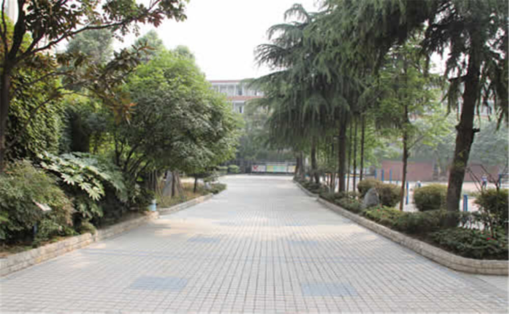成都列五中學(xué)的學(xué)費(fèi)是多少錢？