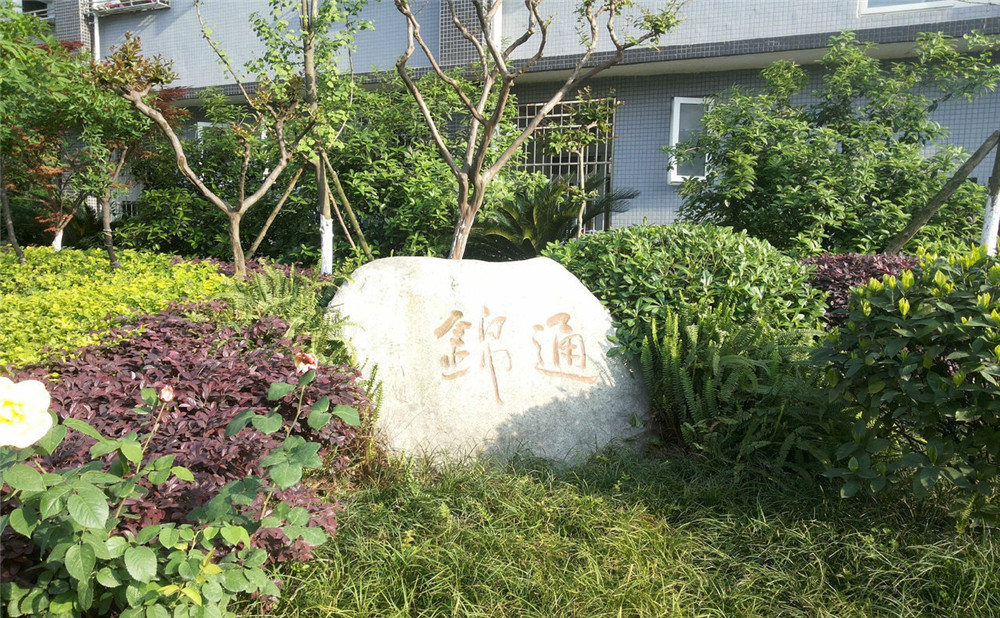 通錦中學(xué)2020年招生標準是什么？