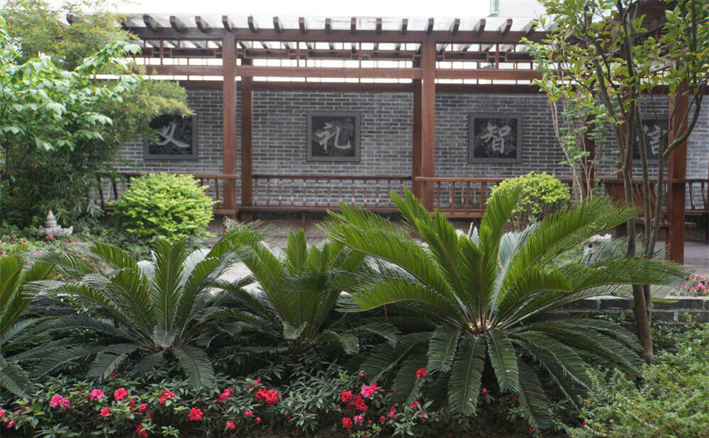 成都八中的升學(xué)率是多少？