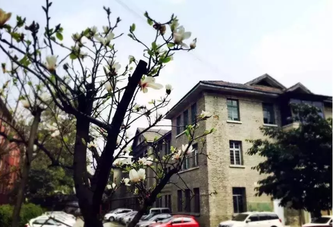 通錦中學(xué)的宿舍怎么樣？