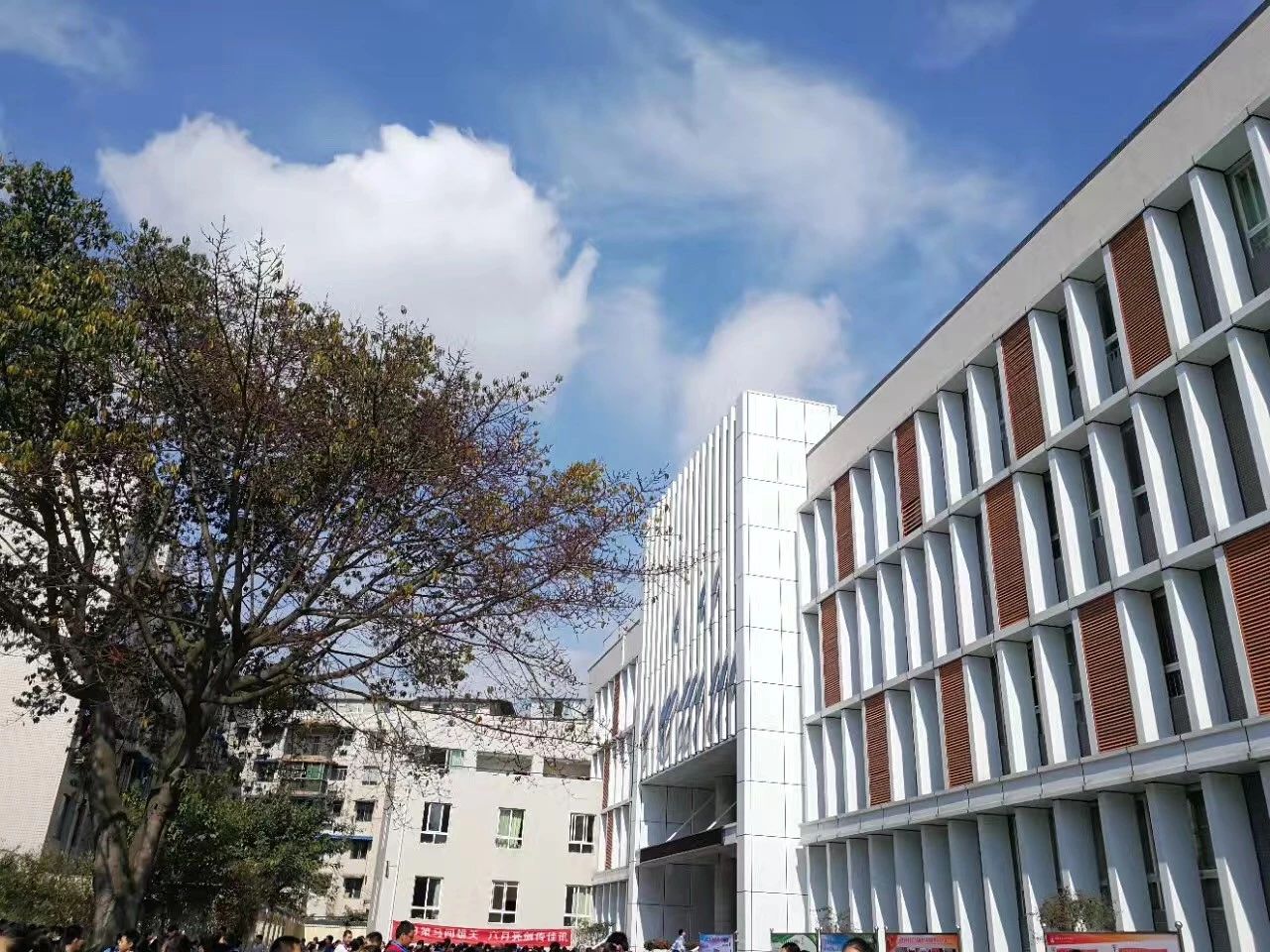 成都二十中高中一年的學(xué)費是多少？