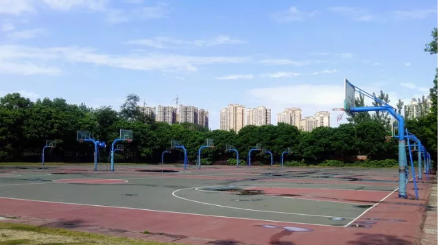 成都實(shí)驗(yàn)外國(guó)語(yǔ)學(xué)校的本科升學(xué)率是多少？