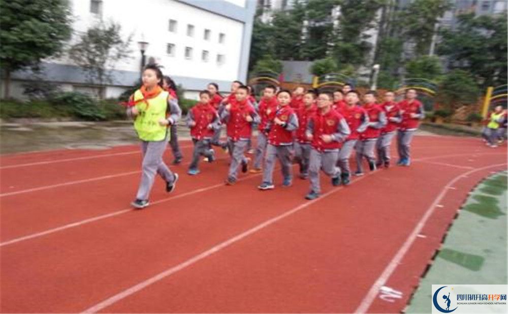 2020成都市泡桐樹中學(xué)的升學(xué)率有多少？