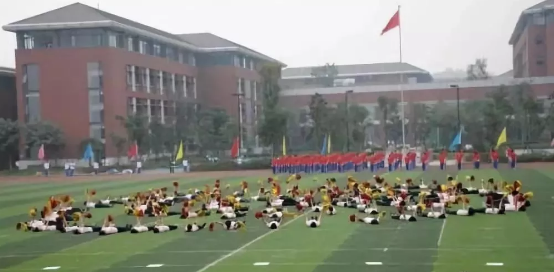 2020年成都七中高新校區(qū)的升學率有多少？