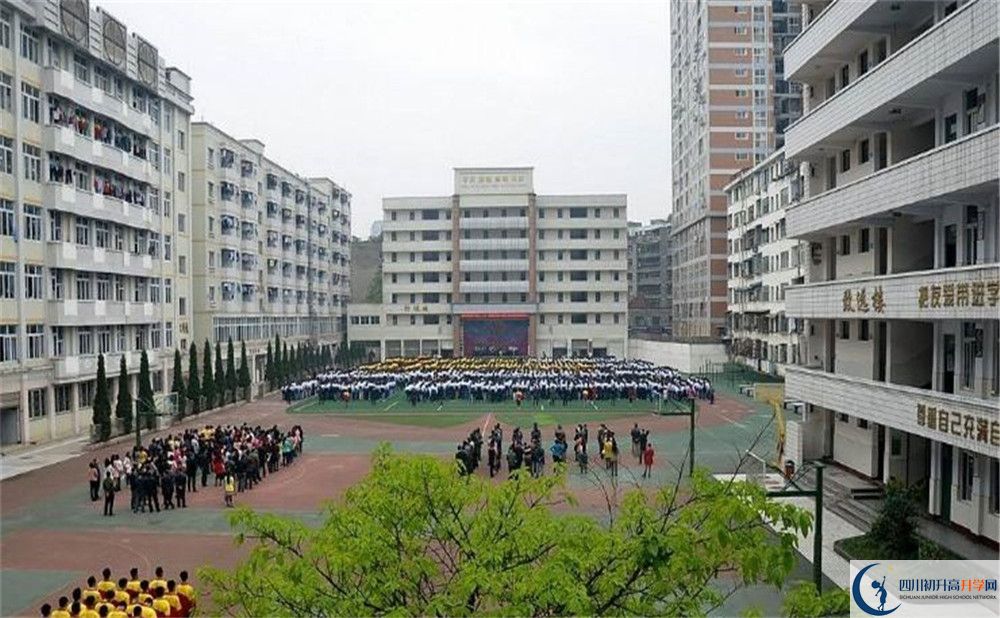 陽安中學(xué)的老師好不好？