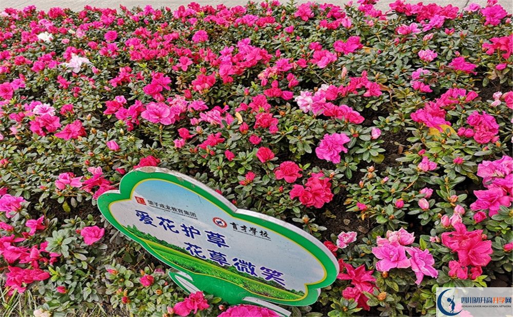 育才學(xué)校高中歷年來的分?jǐn)?shù)線是多少？