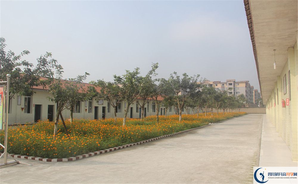 2020年強(qiáng)項(xiàng)實(shí)驗(yàn)中學(xué)自主招生考試報(bào)名時(shí)間是多久？