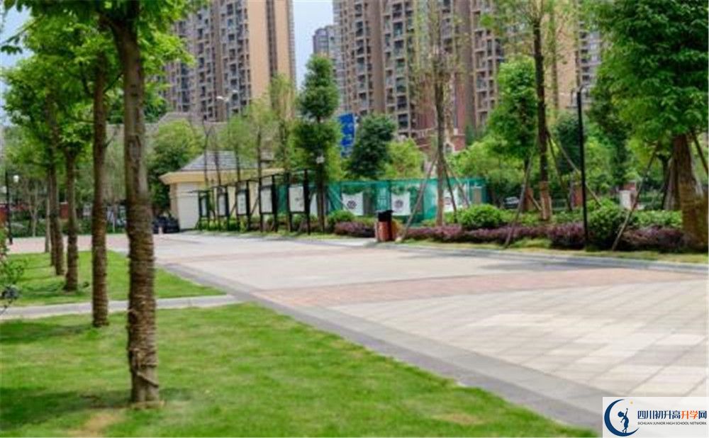 成都教科院附屬學(xué)校2020年清華北大錄取學(xué)生有多少？