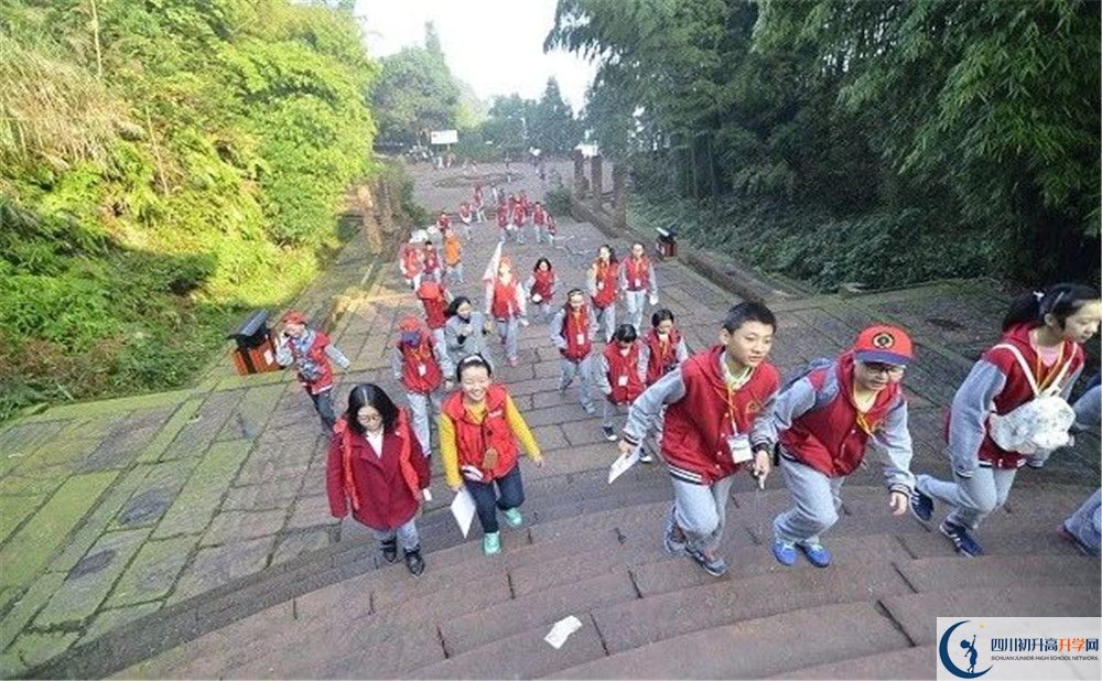 成都市泡桐樹中學2020年保送清華北大的人數(shù)是多少？