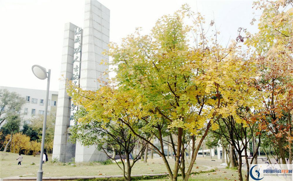 成都實(shí)驗(yàn)外國(guó)語(yǔ)學(xué)校（西區(qū)）2020年外地生學(xué)費(fèi)是多少？
