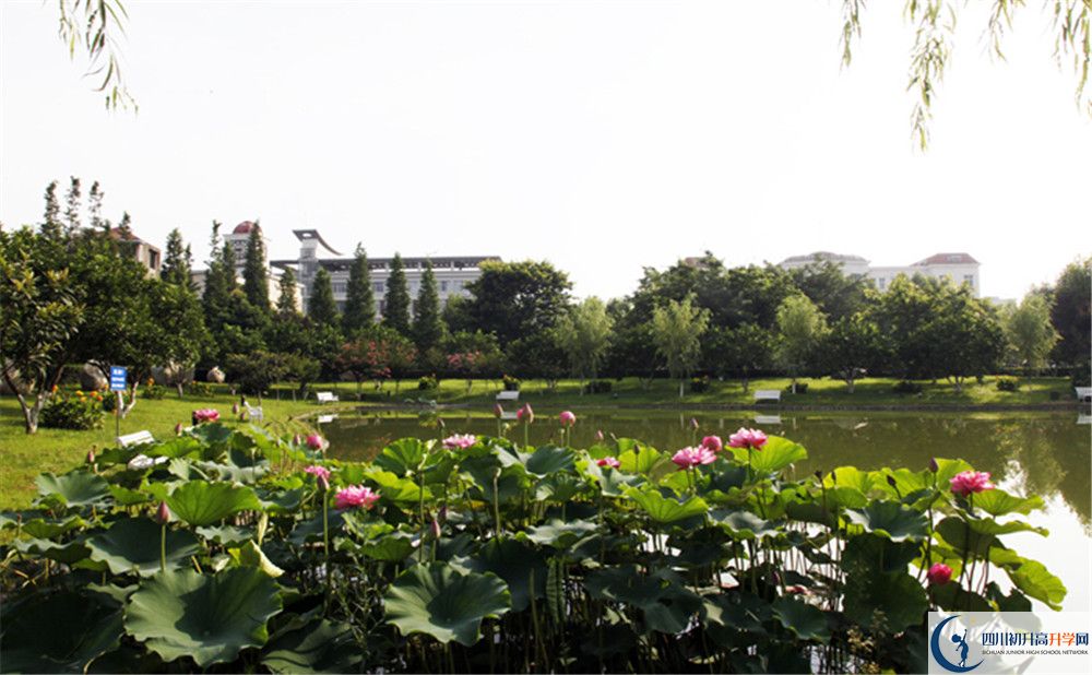 2020四川師范大學(xué)實(shí)驗(yàn)外國語學(xué)校高中分班考試是好久？