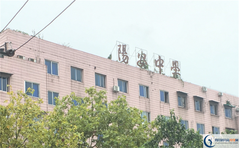 2020年陽安中學成績查詢?nèi)肟谠谀睦铮? title=