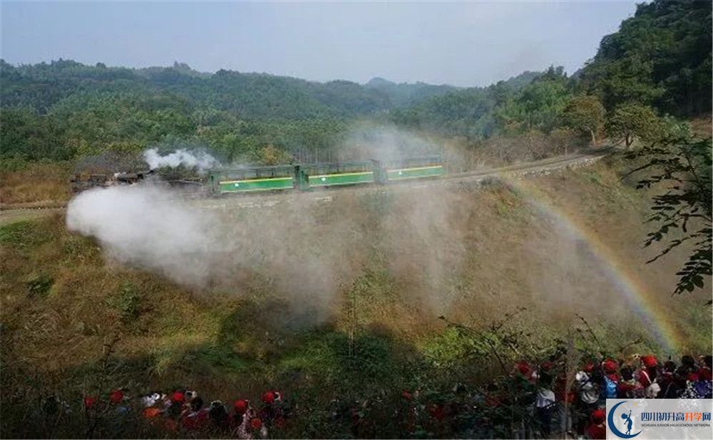 成都市泡桐樹中學國際班費用是多少？