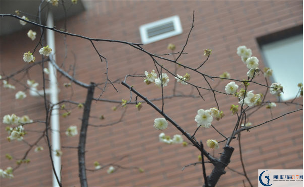 成都市華陽(yáng)中學(xué)是私立還是公立學(xué)校？