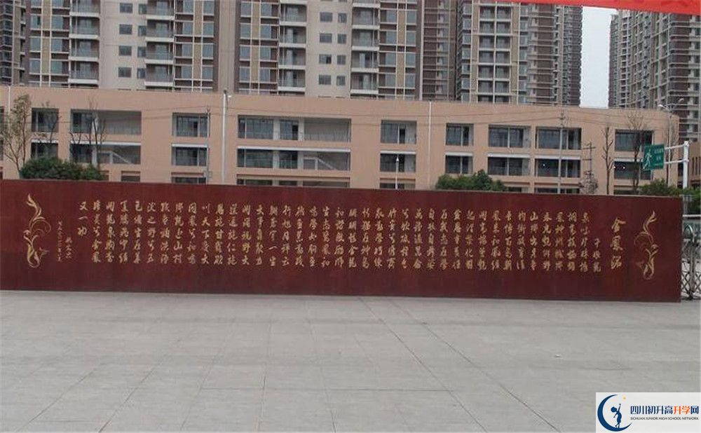 成都經(jīng)濟(jì)技術(shù)開(kāi)發(fā)區(qū)實(shí)驗(yàn)中學(xué)2020年全國(guó)排名是多少？