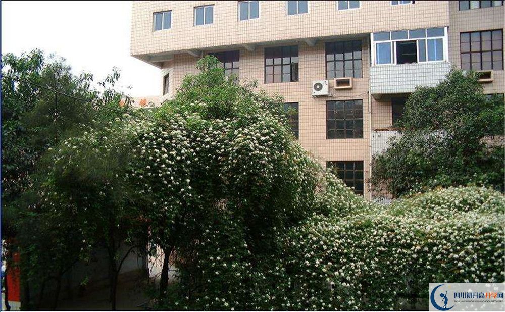 石室聯(lián)合中學蜀華分校高中平行班怎么樣？