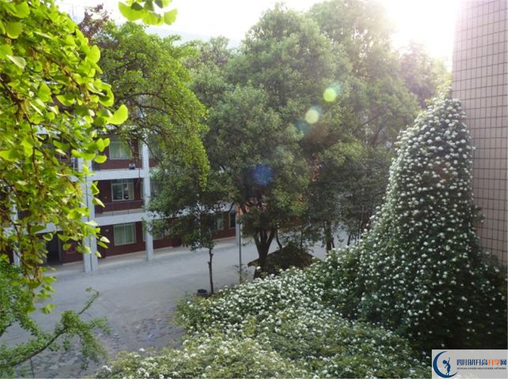 成都市石室聯(lián)中蜀華分校是私立收費(fèi)嗎？