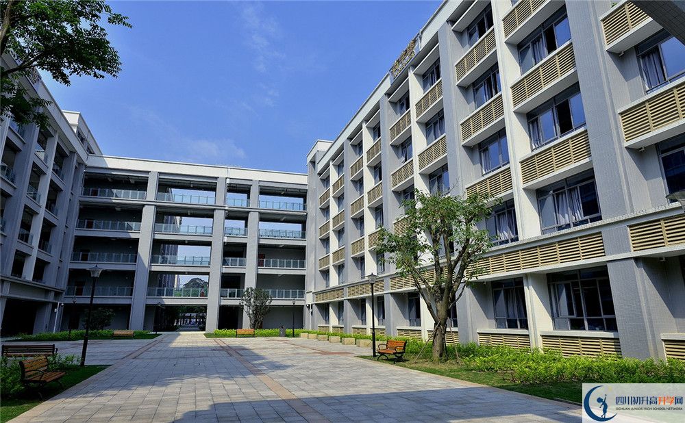 成都市第四十九中學2020年高三文綜測試題難嗎？