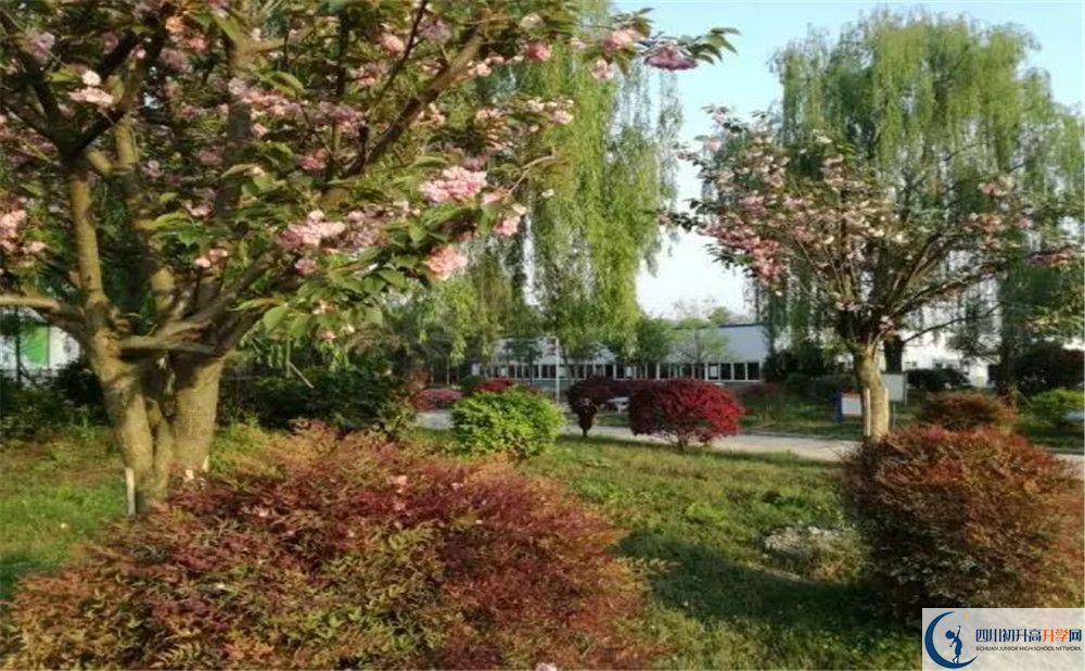 四川師范大學(xué)附屬第三實(shí)驗(yàn)中學(xué)實(shí)驗(yàn)班人數(shù)是多少？