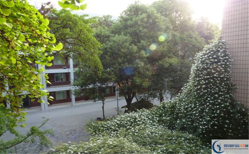 石室聯(lián)合中學(xué)蜀華分校高中分班考試難嗎？